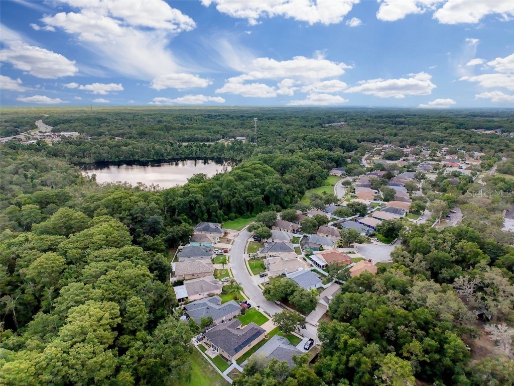 12200 Hunters Lake Drive New Port Richey FL 34654 TB8400571 image92