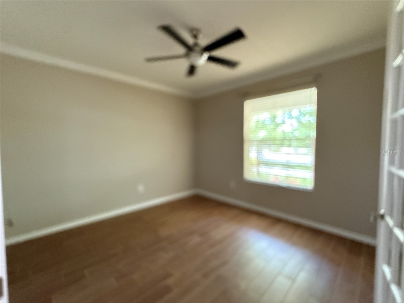 12200 Rangeland Boulevard Odessa FL 33556 TB8523495 image21