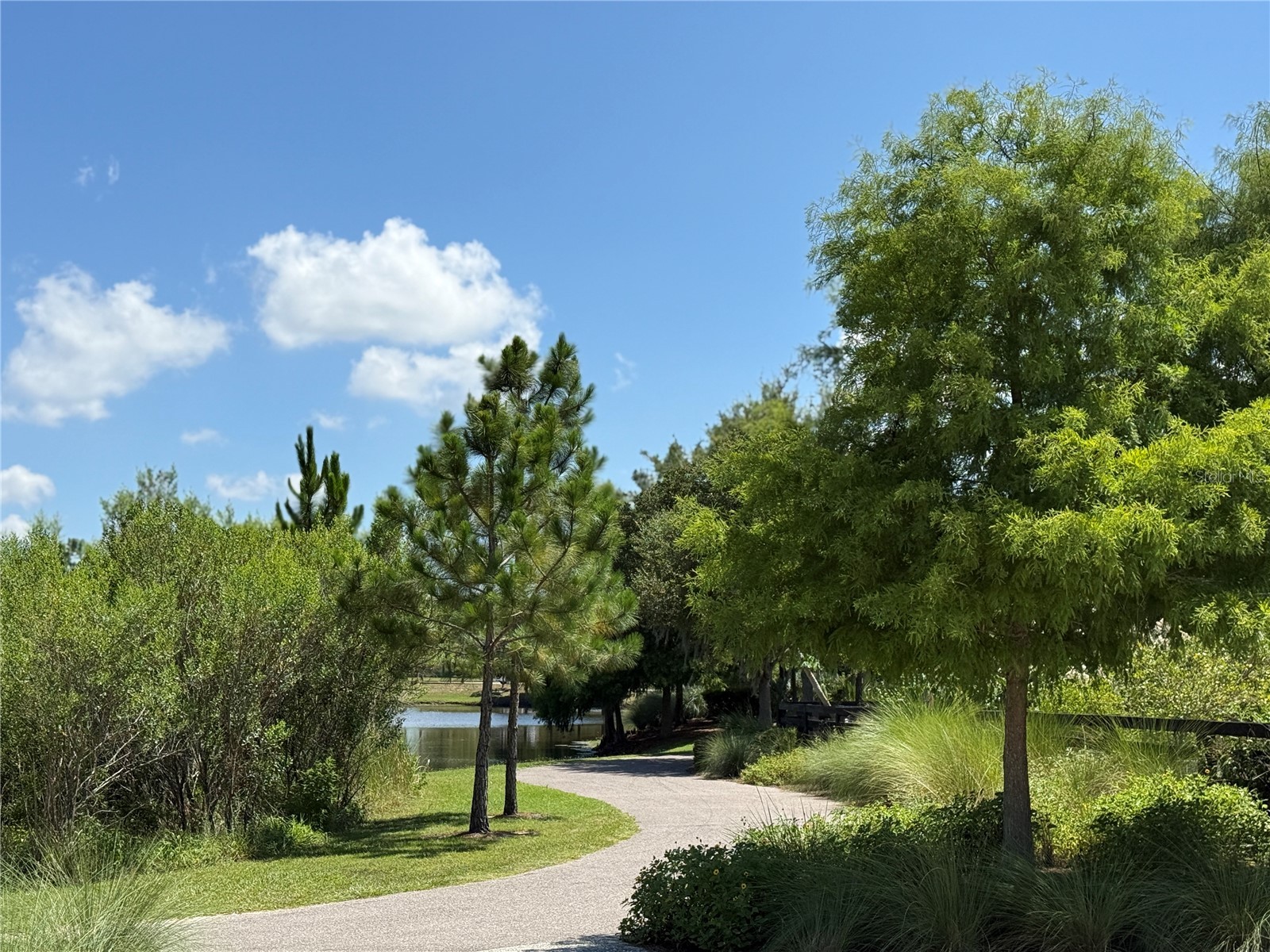 12200 Rangeland Boulevard Odessa FL 33556 TB8523495 image39