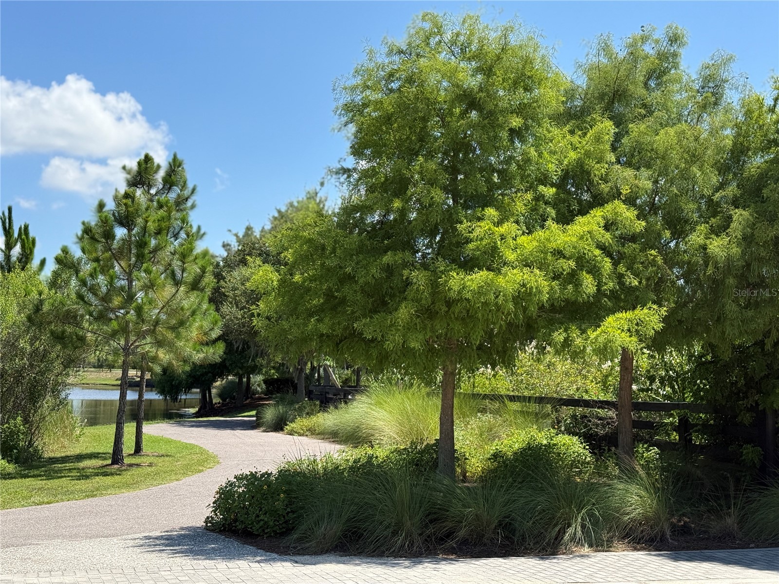 12200 Rangeland Boulevard Odessa FL 33556 TB8523495 image40