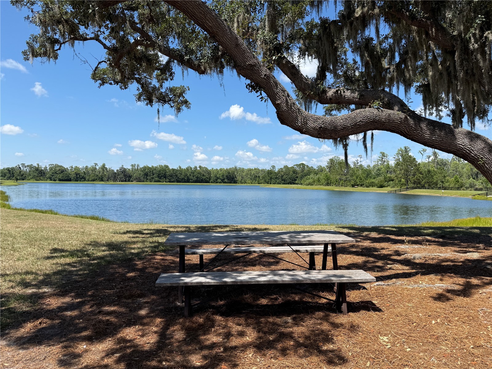 12200 Rangeland Boulevard Odessa FL 33556 TB8523495 image43