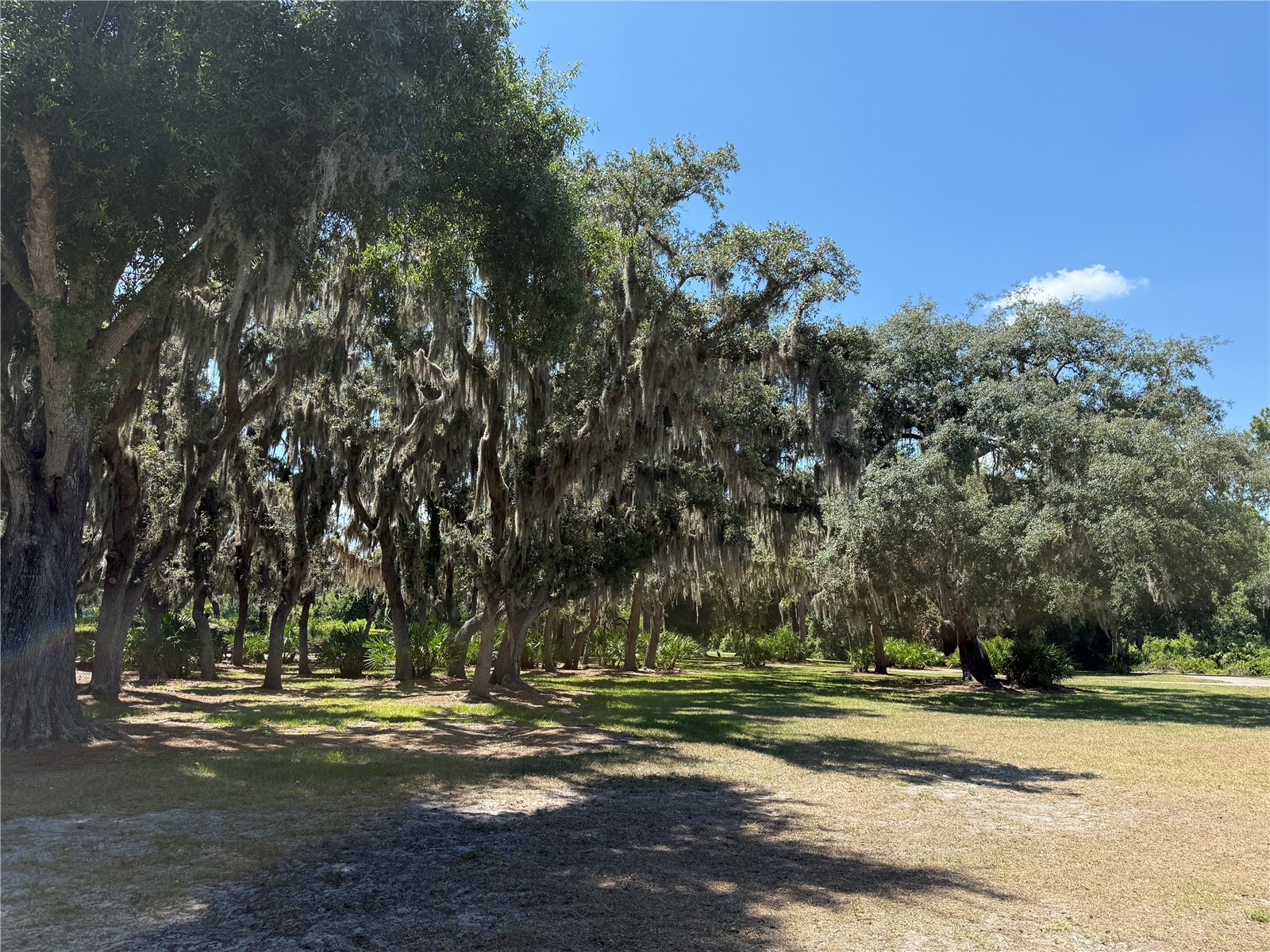 12200 Rangeland Boulevard Odessa FL 33556 TB8523495 image44