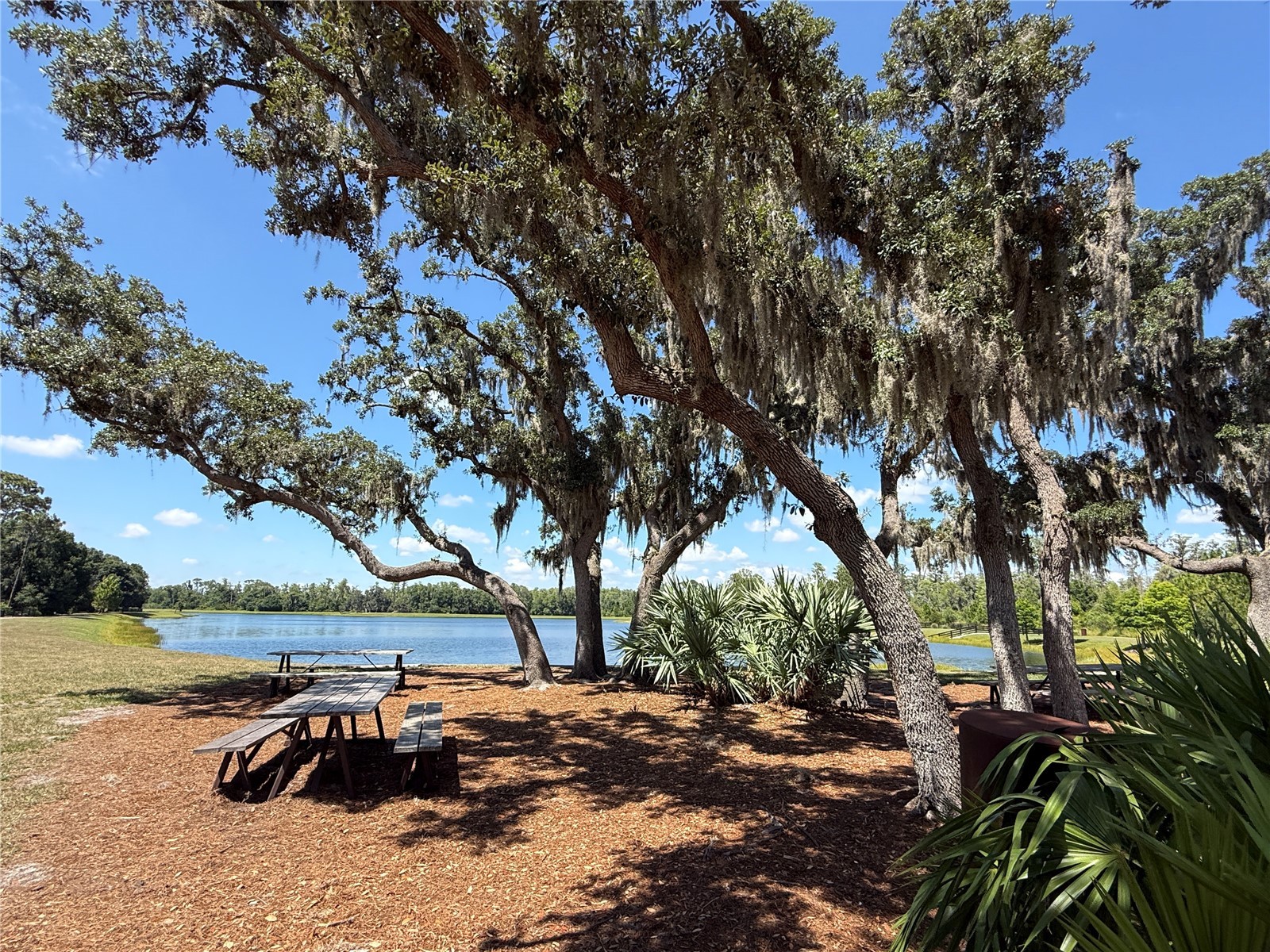 12200 Rangeland Boulevard Odessa FL 33556 TB8523495 image45