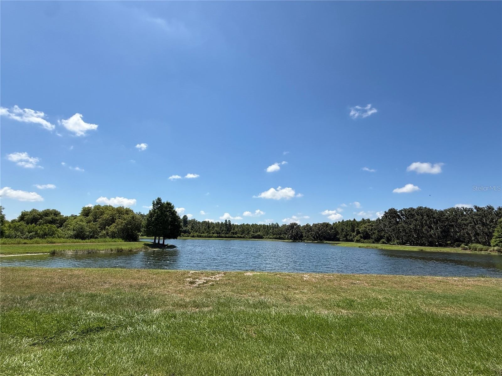 12200 Rangeland Boulevard Odessa FL 33556 TB8523495 image46