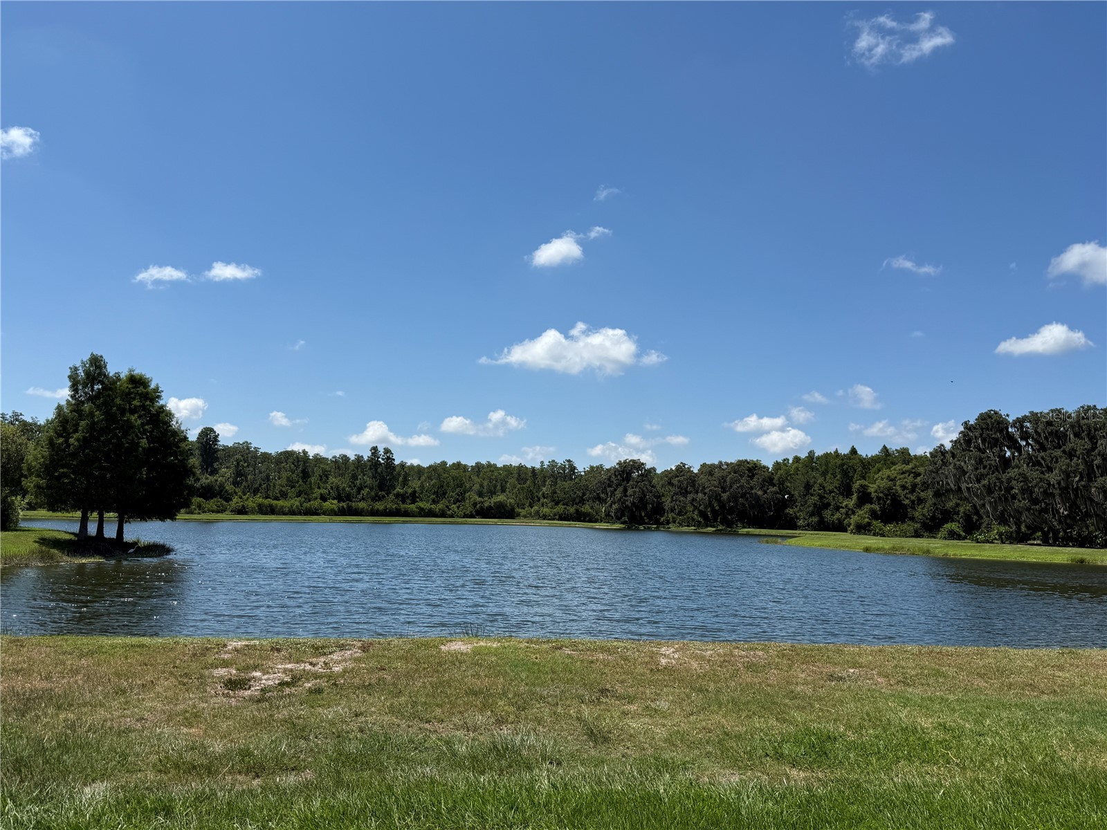 12200 Rangeland Boulevard Odessa FL 33556 TB8523495 image47
