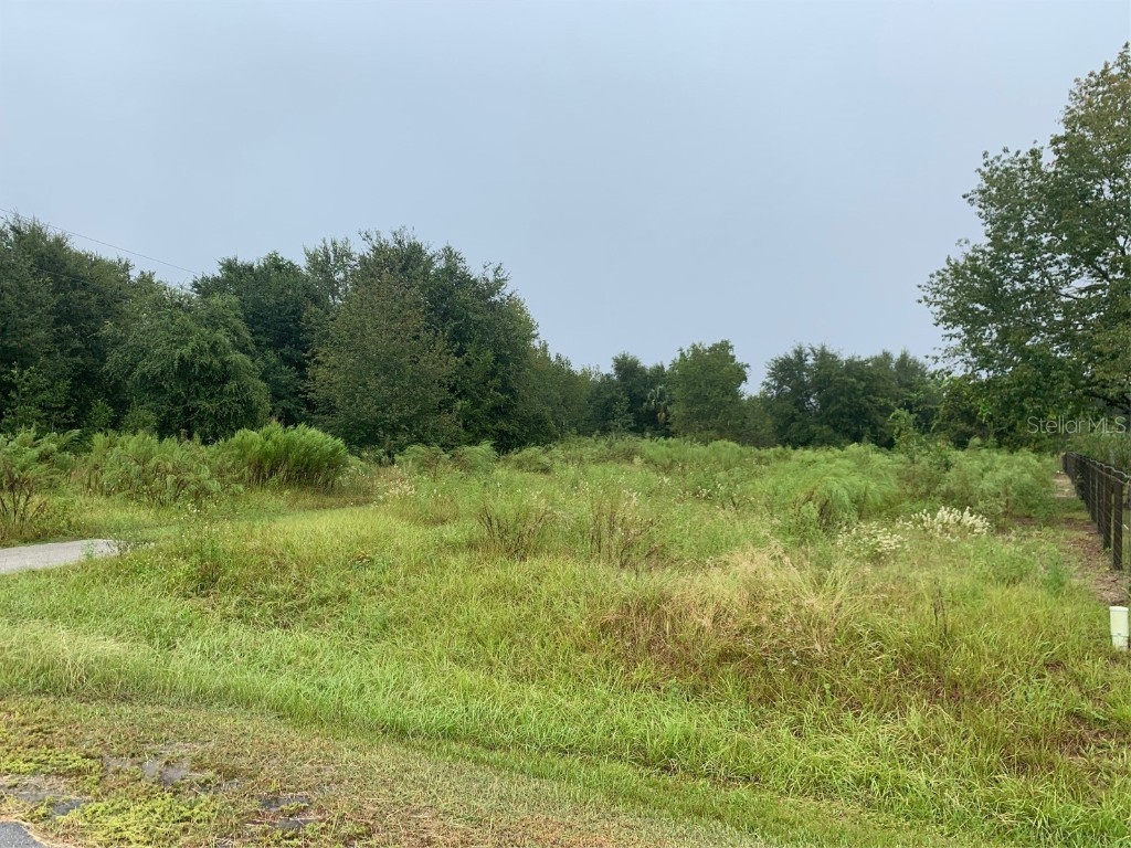 12201 SE 114th Street Ocklawaha FL 32179 OM666040 image1
