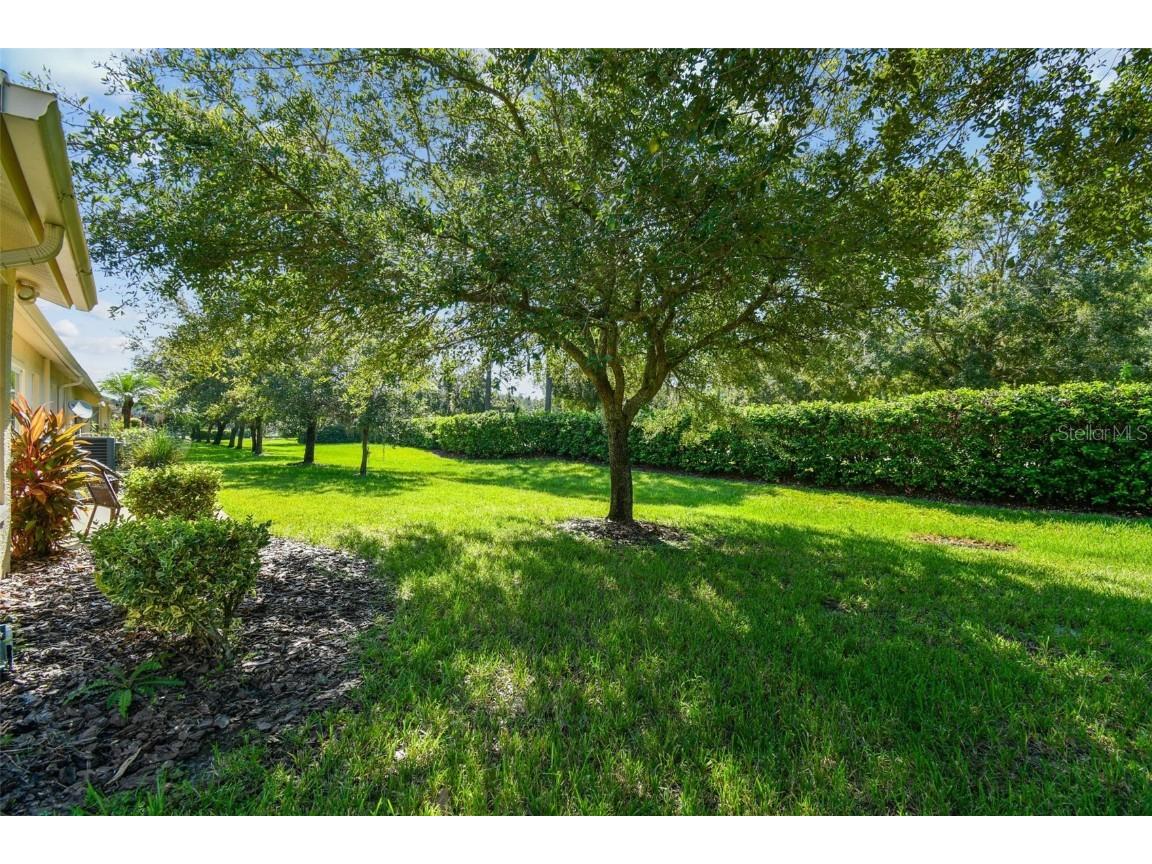 12202 Arron Terrace Trinity FL 34655 TB8424270 image30