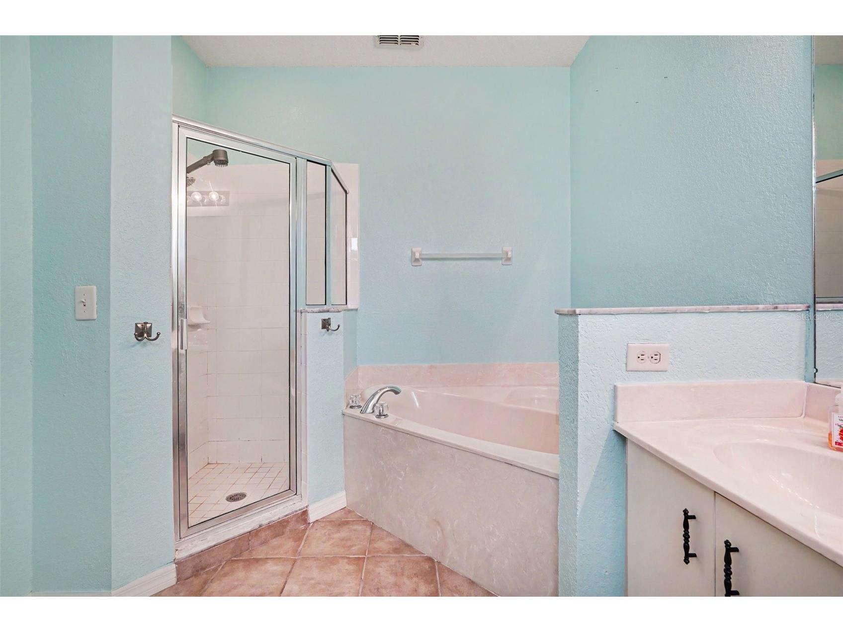12202 Indian Creek Drive Kissimmee FL 34759 TB8511740 image23