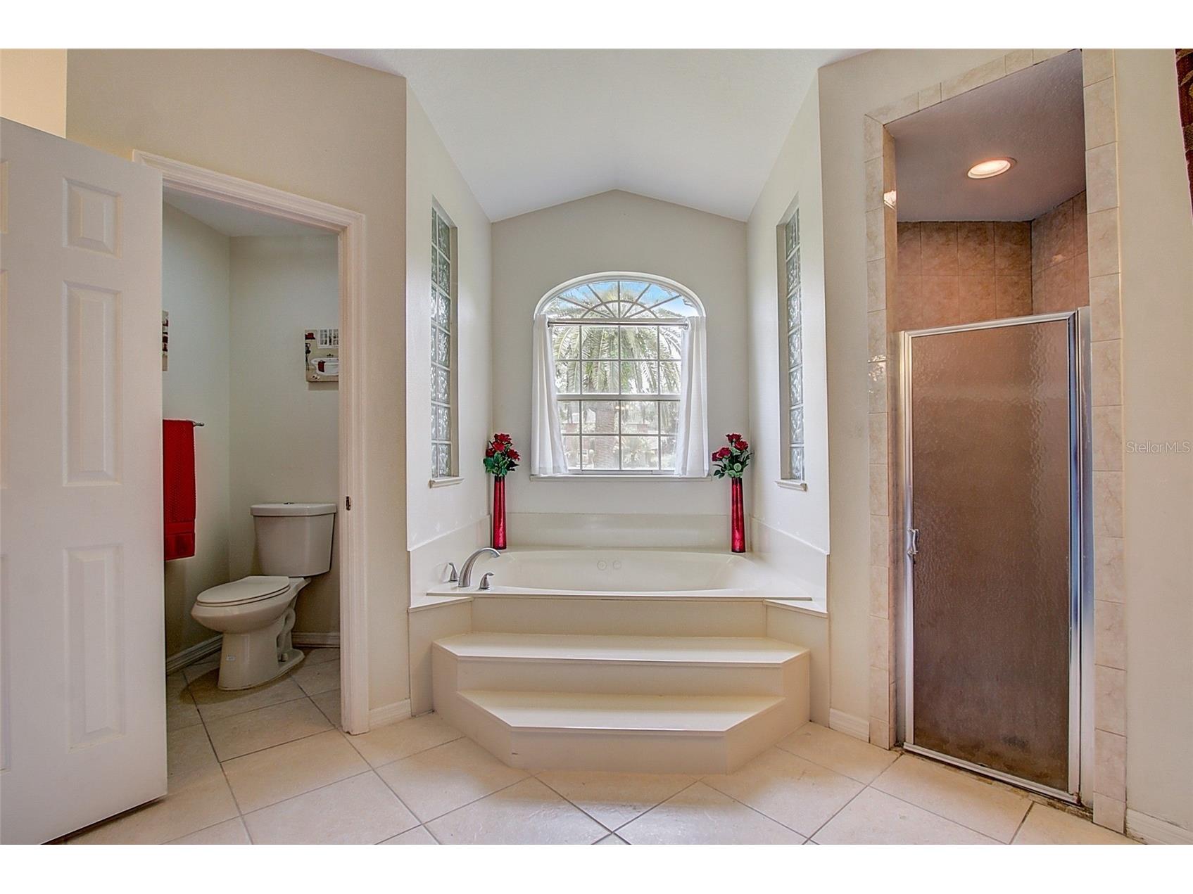 12202 Rambling Oak Boulevard Orlando FL 32832 O6387430 image19