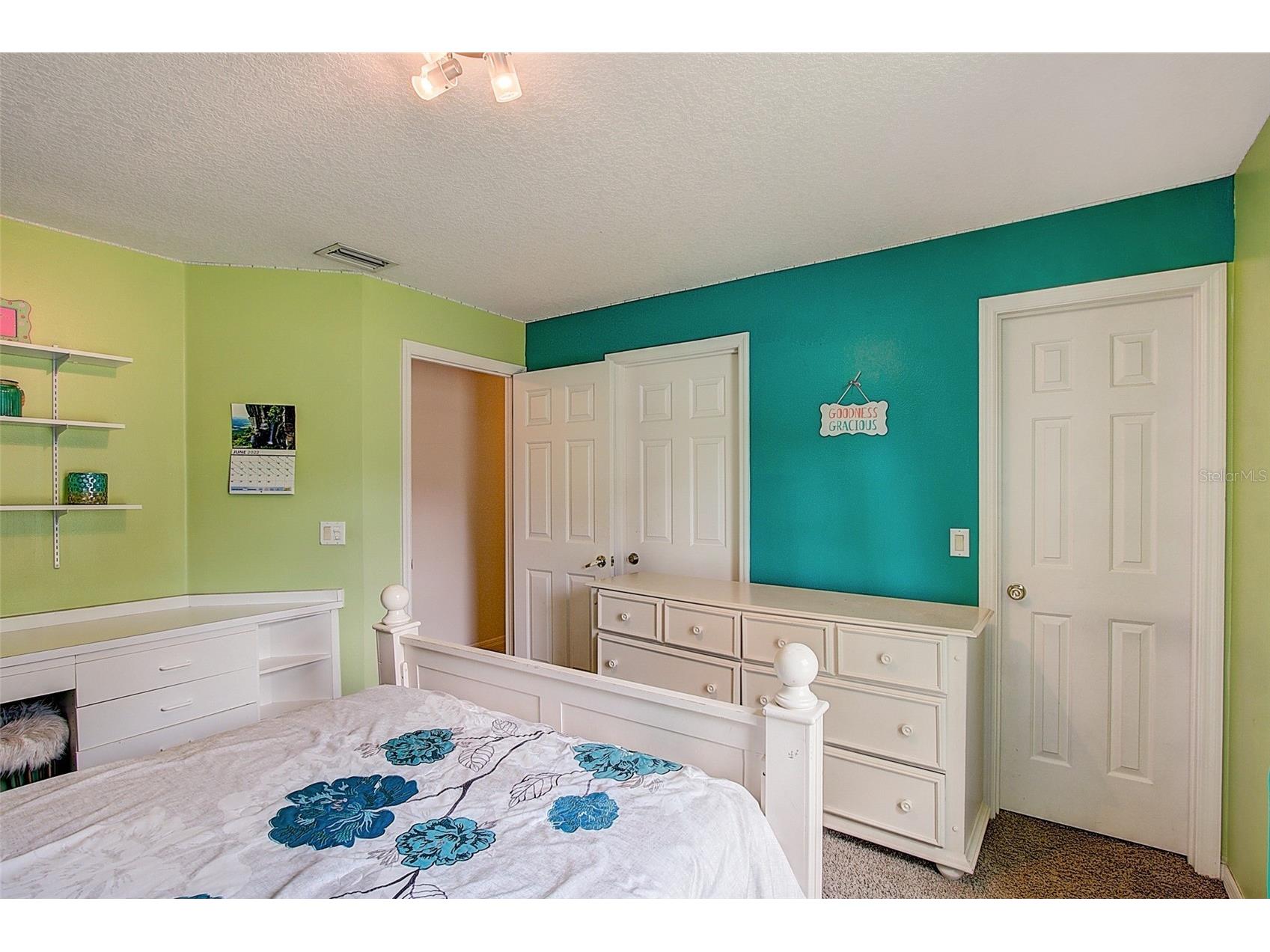 12202 Rambling Oak Boulevard Orlando FL 32832 O6387430 image25