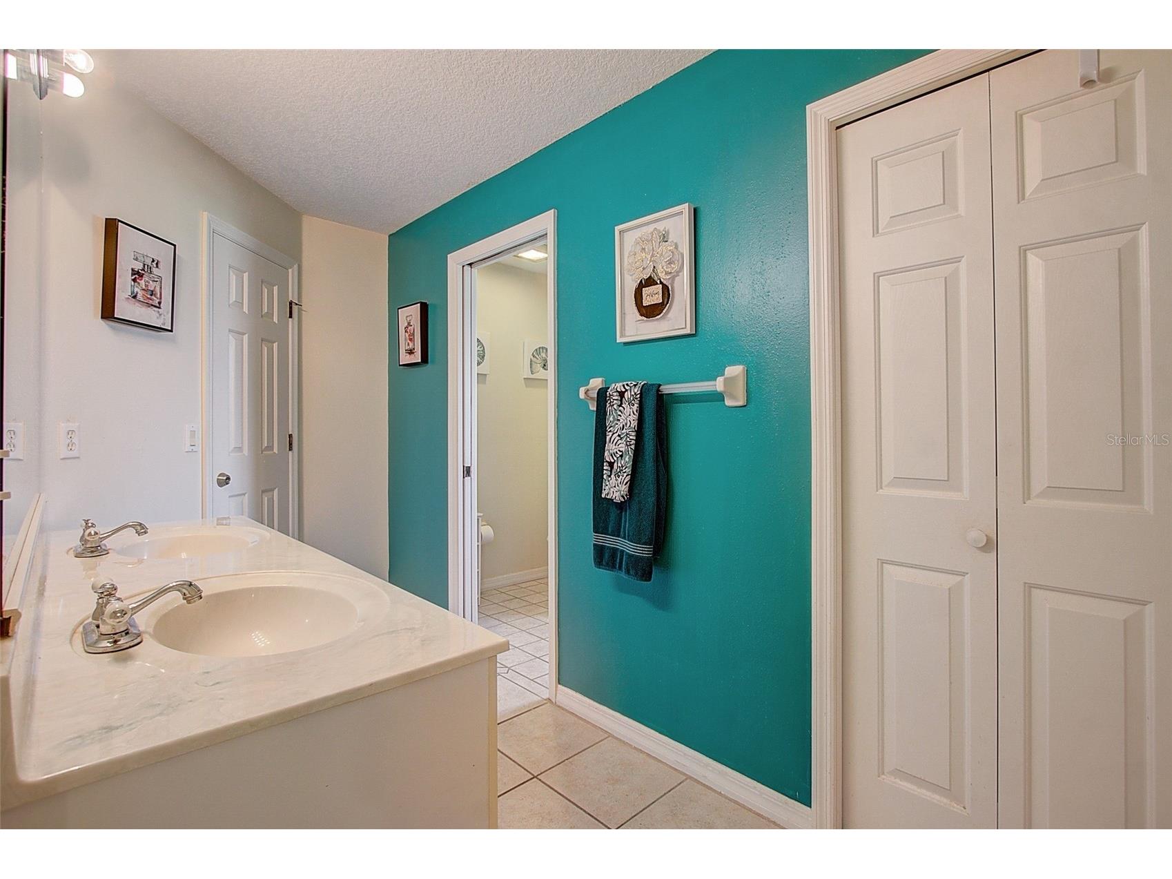12202 Rambling Oak Boulevard Orlando FL 32832 O6387430 image28