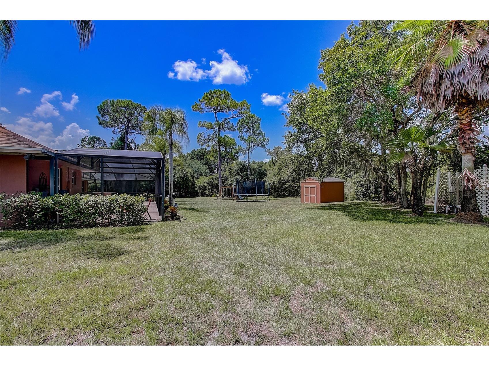 12202 Rambling Oak Boulevard Orlando FL 32832 O6387430 image42