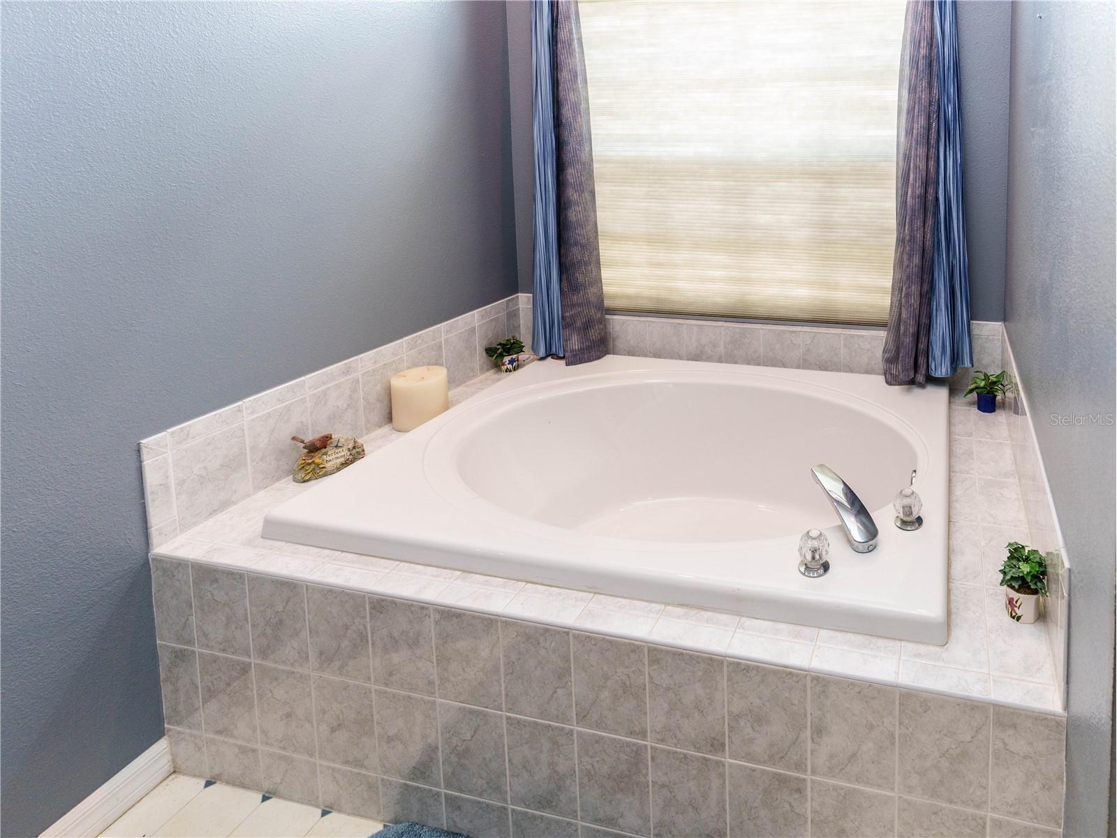 12202 Roseland Drive New Port Richey FL 34654 W7886712 image11