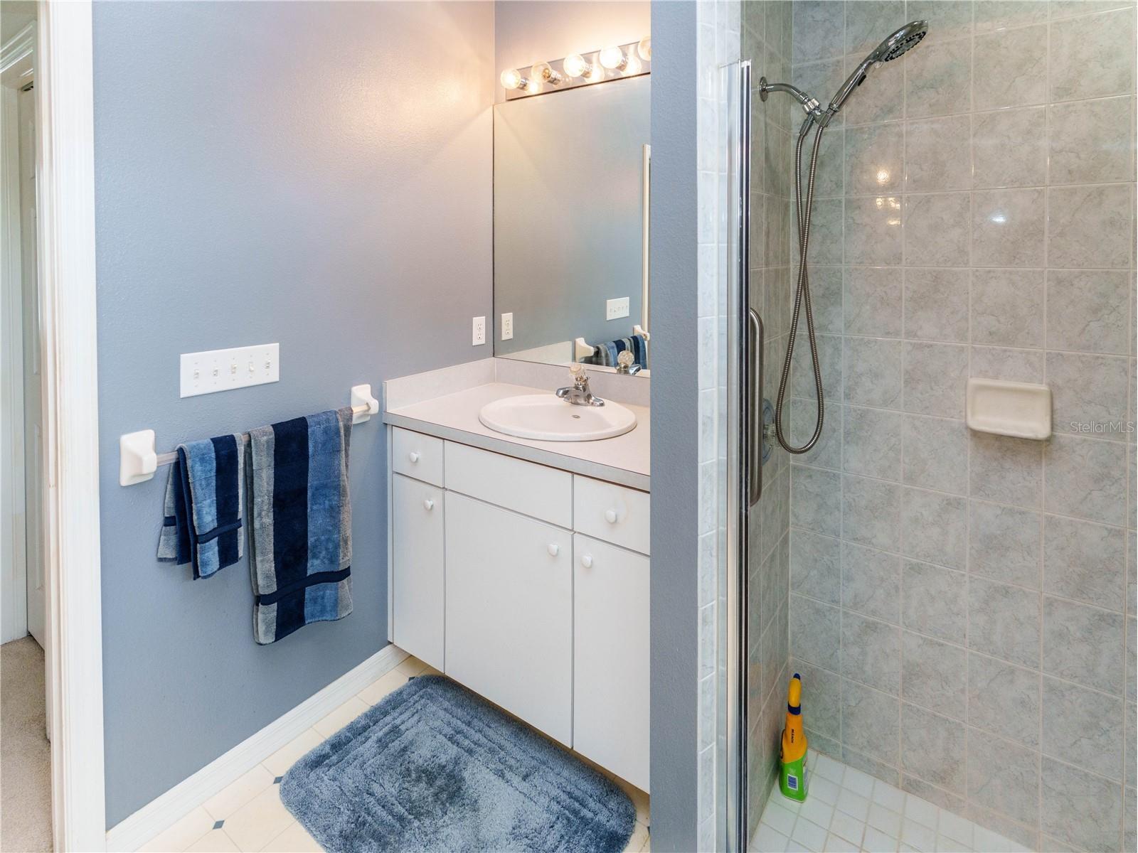 12202 Roseland Drive New Port Richey FL 34654 W7886712 image13