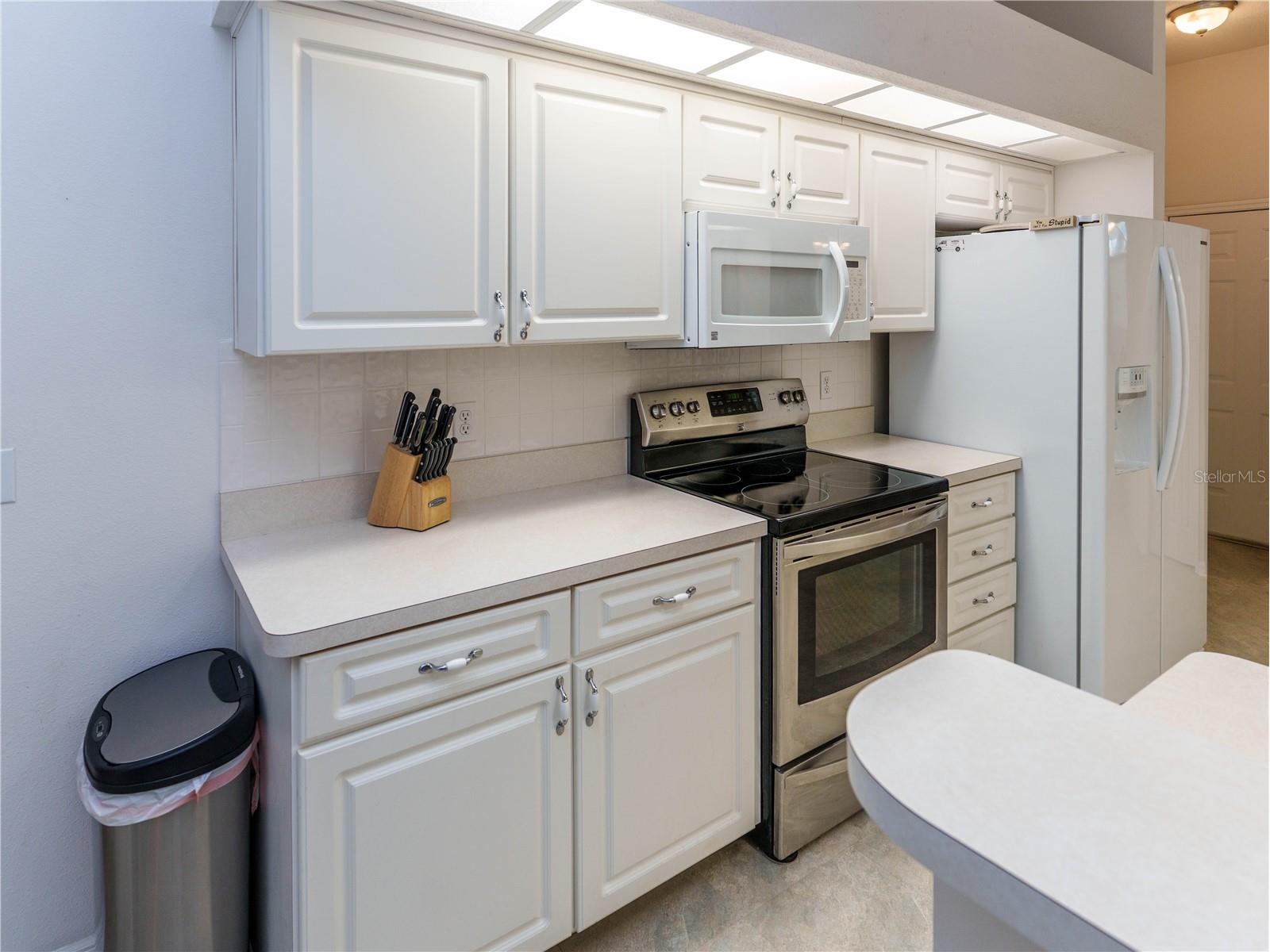 12202 Roseland Drive New Port Richey FL 34654 W7886712 image18