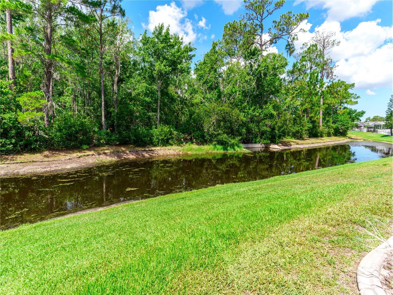 12202 Roseland Drive New Port Richey FL 34654 W7886712 image34