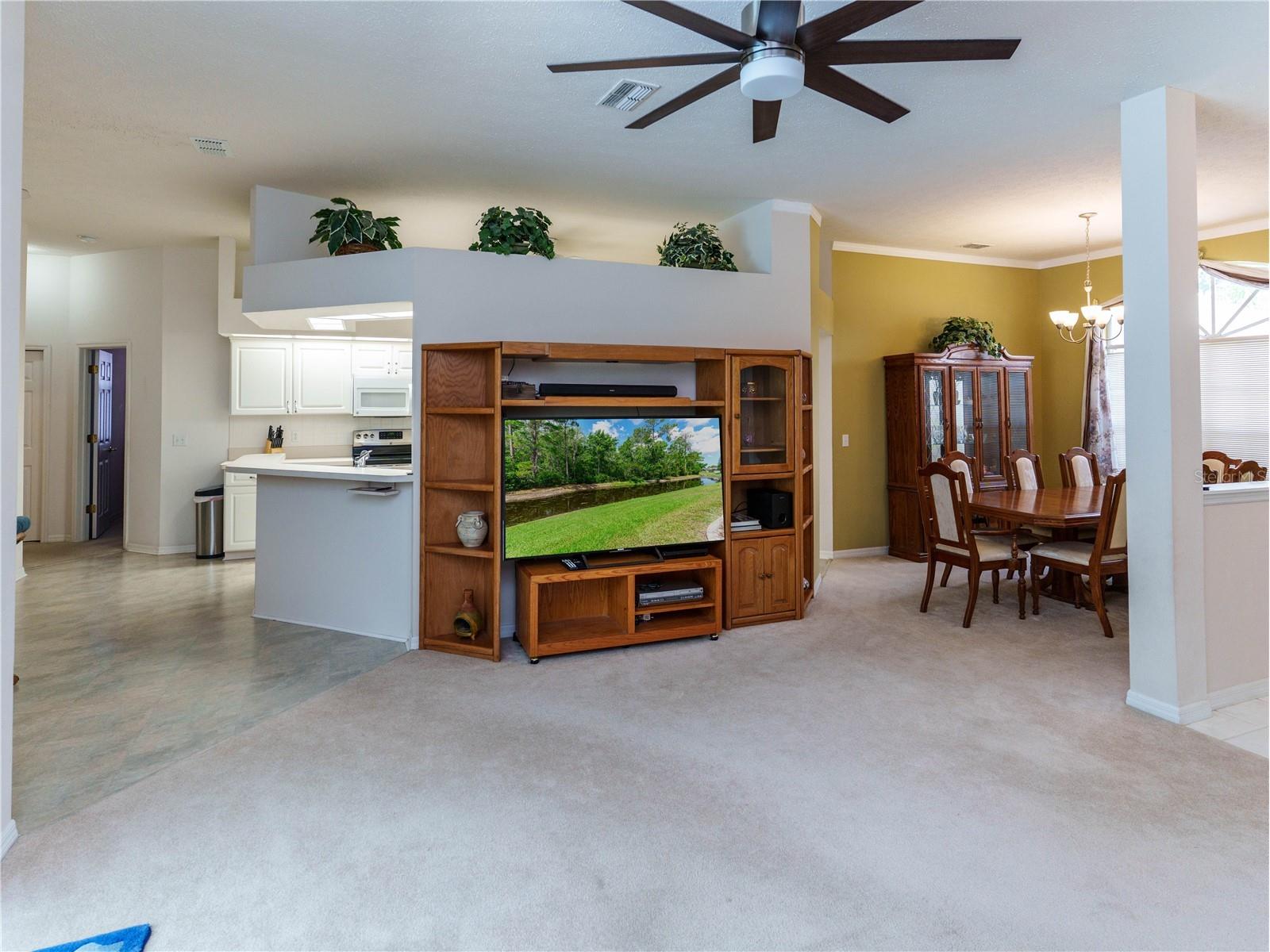 12202 Roseland Drive New Port Richey FL 34654 W7886712 image4