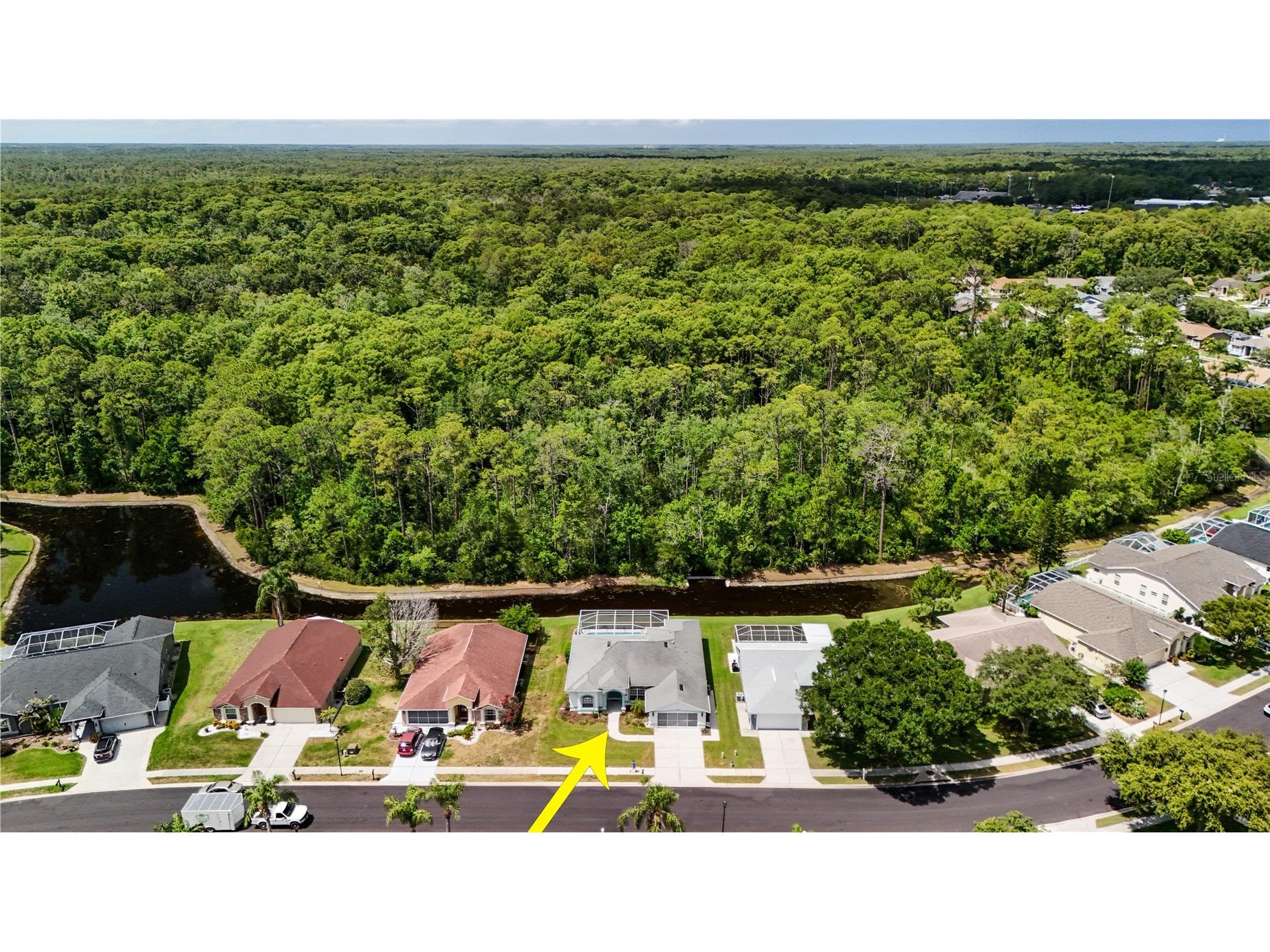 12202 Roseland Drive New Port Richey FL 34654 W7886712 image41