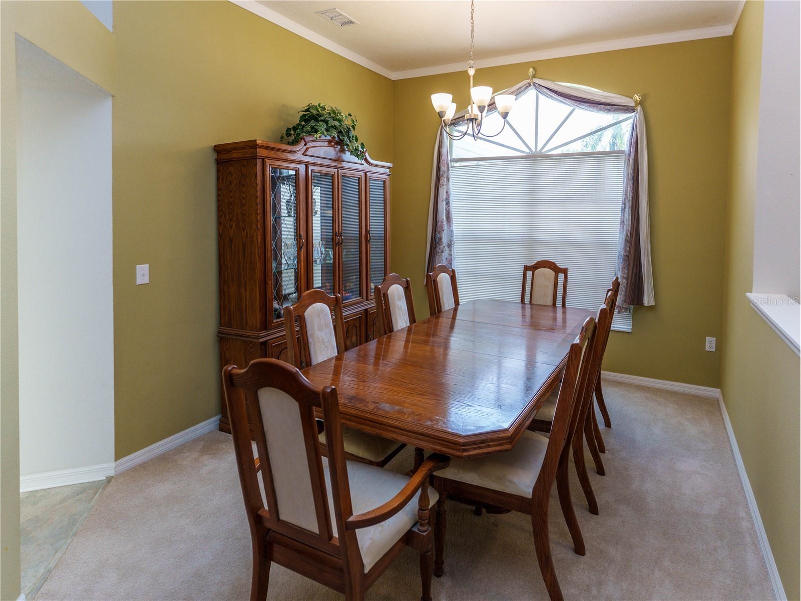 12202 Roseland Drive New Port Richey FL 34654 W7886712 image5