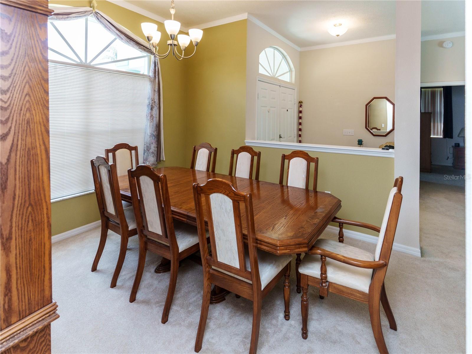 12202 Roseland Drive New Port Richey FL 34654 W7886712 image6