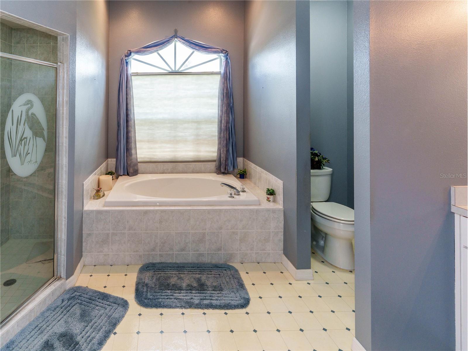 12202 Roseland Drive New Port Richey FL 34654 W7886712 image9