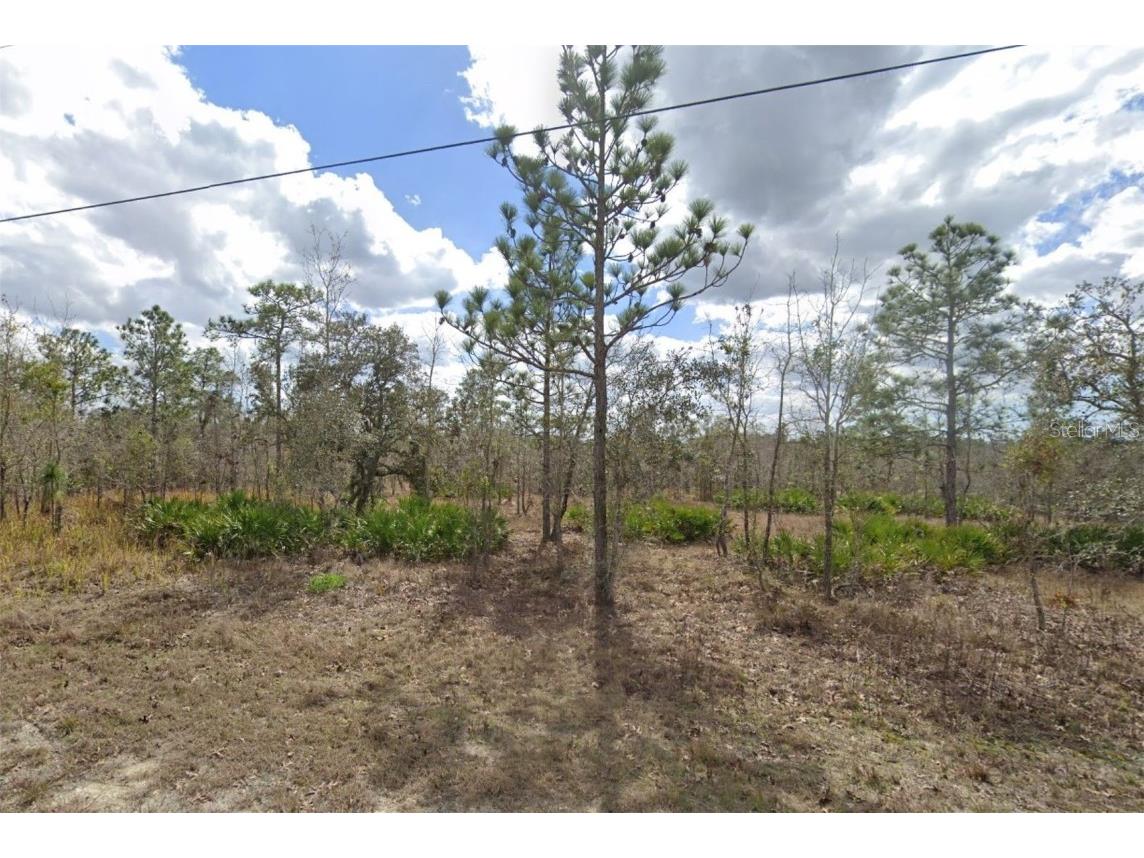 12202 Snowy Egret Avenue Weeki Wachee FL 34614 T3502387 image1