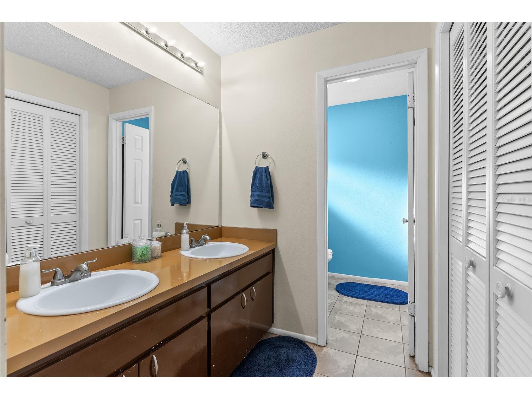12202 Wildbrook Drive Riverview FL 33569 TB8509590 image16