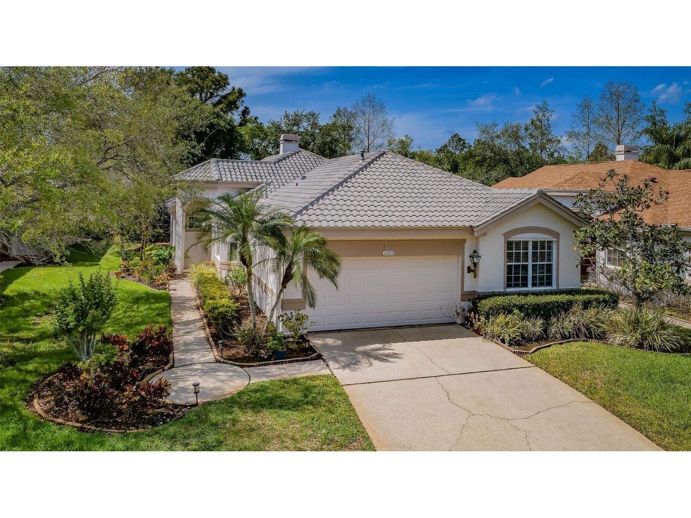 12203 Glencliff Circle Tampa FL 33626 T3515314 image1