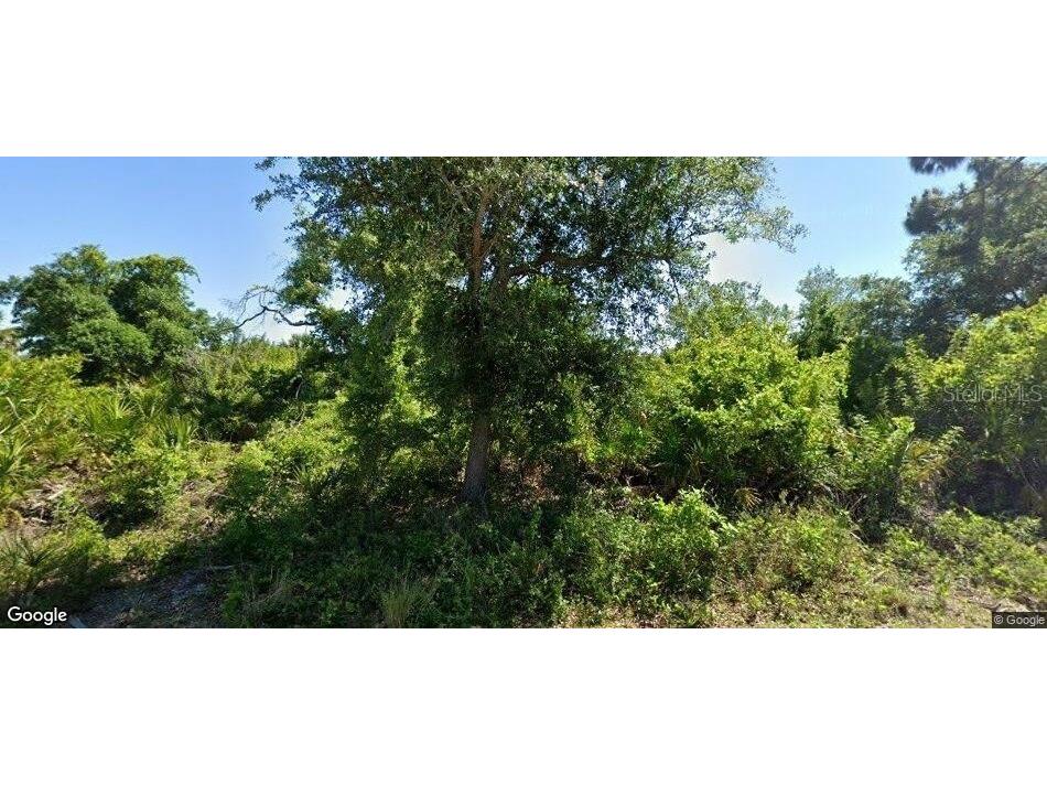 12203 Richards Avenue Port Charlotte FL 33981 - MYAKKA RIVER A4699516 image1