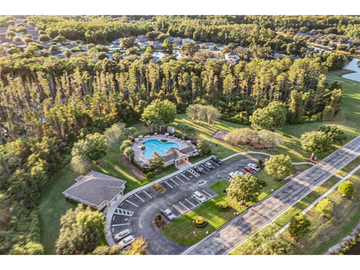 12204 Luftburrow Lane Hudson FL 34669 TB8439249 image33