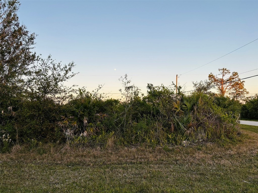 12204 Zittle Avenue Port Charlotte FL 33981 D6141298 image4