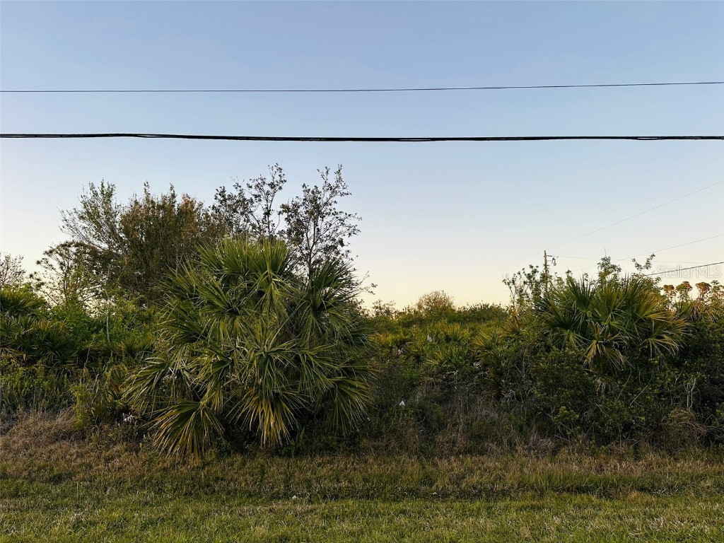 12204 Zittle Avenue Port Charlotte FL 33981 D6141298 image6