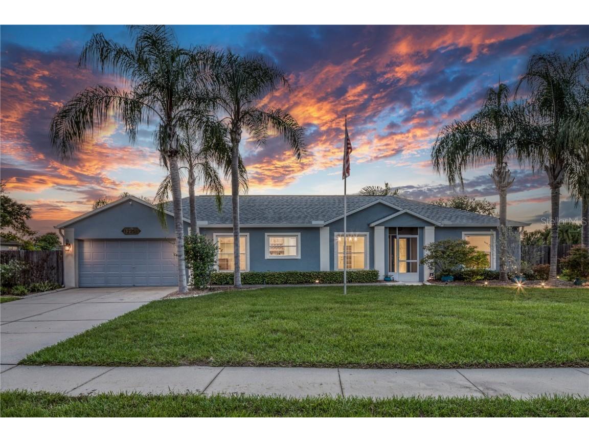 12205 Colonial Manor Place Riverview FL 33579 T3471359 image1