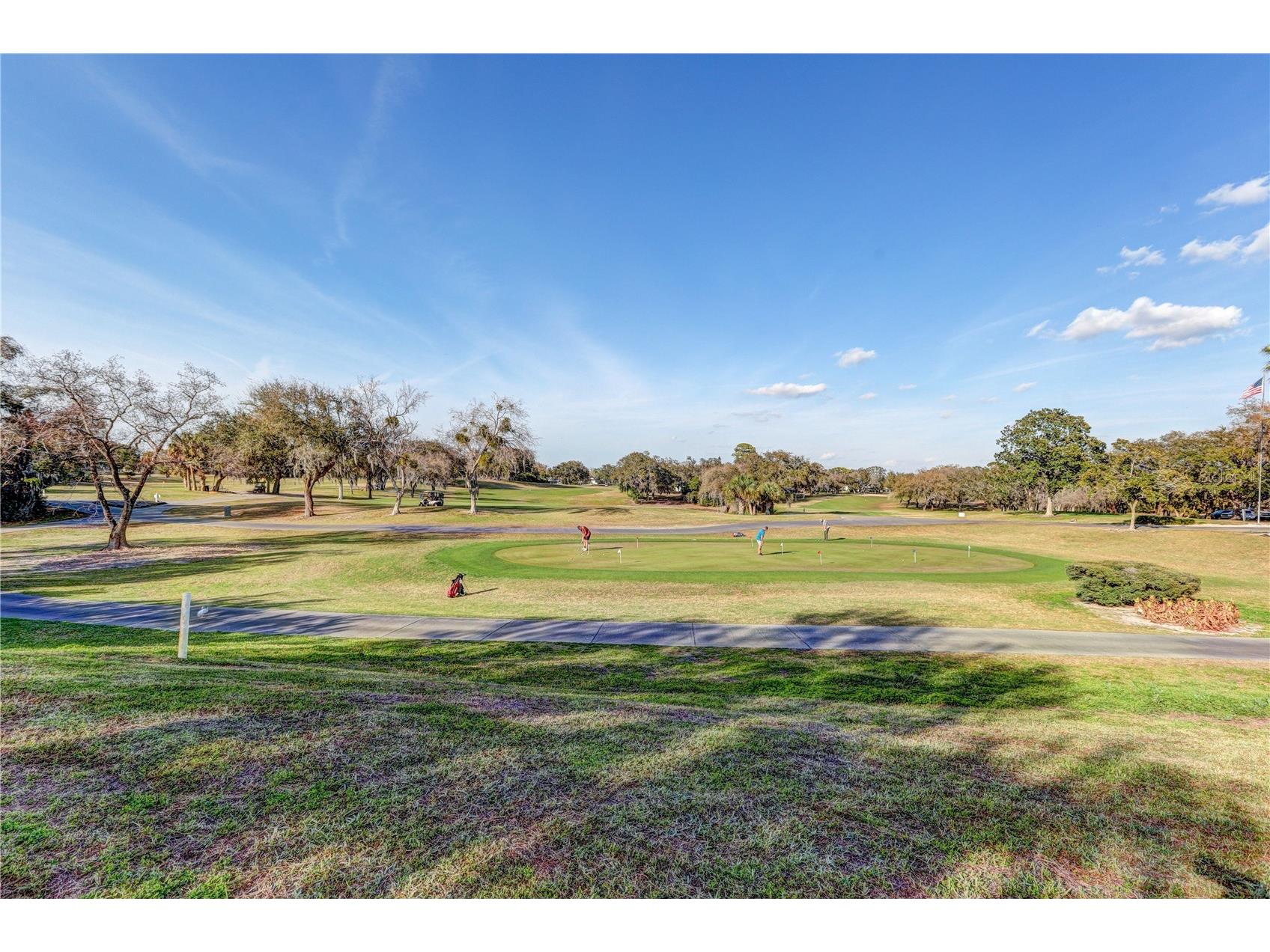 12205 Darwood Drive #12205 Hudson FL 34667 TB8482225 image44