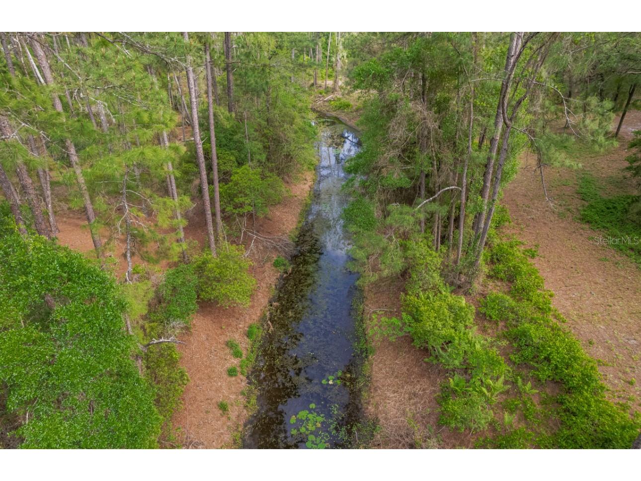 12205 N Elkcam Boulevard Dunnellon FL 34433 - Rush Lake OM723083 image4