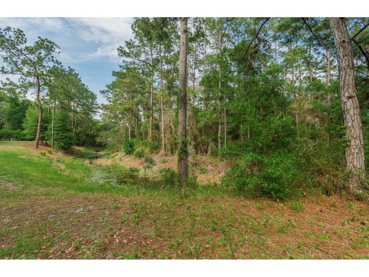 12205 N Elkcam Boulevard Dunnellon FL 34433 - Rush Lake OM723083 image8