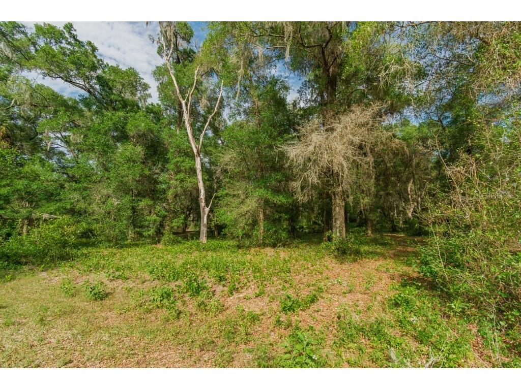 12205 N Elkcam Boulevard Dunnellon FL 34433 - Rush Lake OM723083 image9