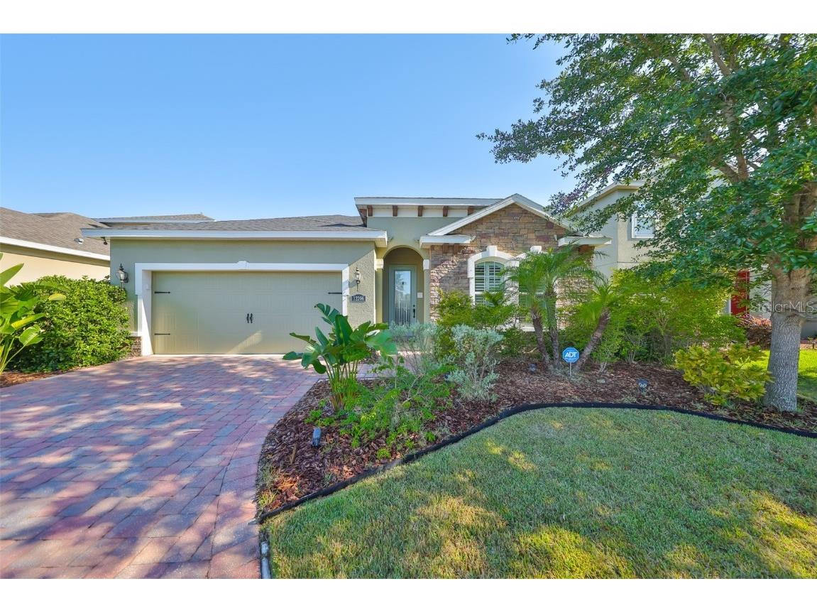 12206 Blue Pacific Drive Riverview FL 33579 TB8375139 image1