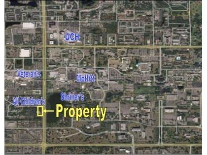 12206 Bruce B Downs Boulevard Tampa FL 33612 T2809321 image25