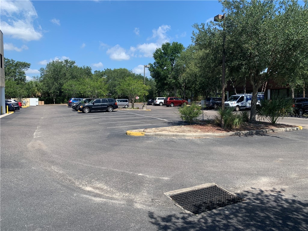 12206 Bruce B Downs Boulevard Tampa FL 33612 T2809321 image7