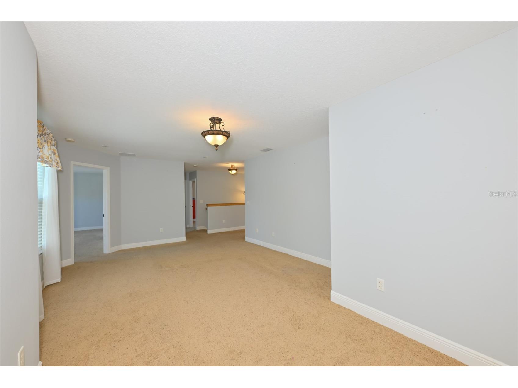 12206 Citrus Leaf Drive Gibsonton FL 33534 TB8500964 image20