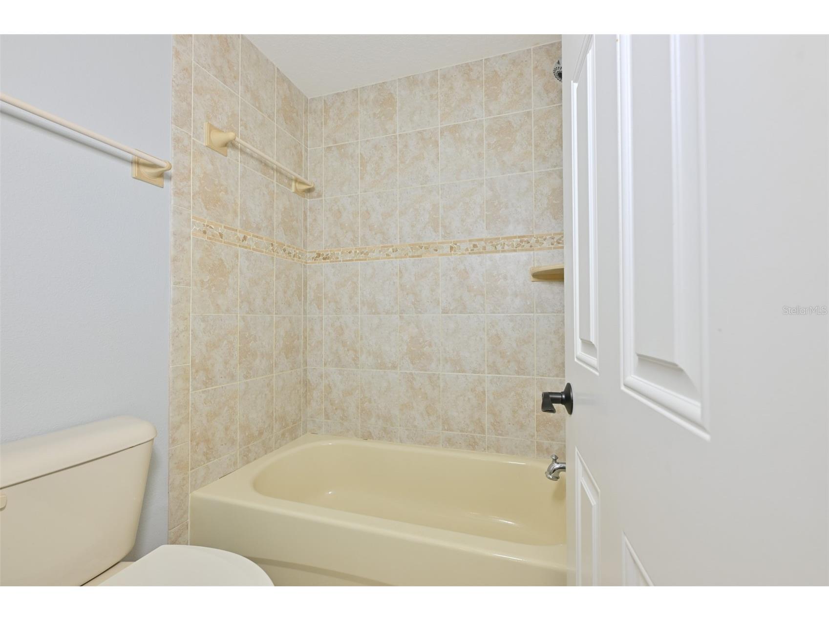 12206 Citrus Leaf Drive Gibsonton FL 33534 TB8500964 image33