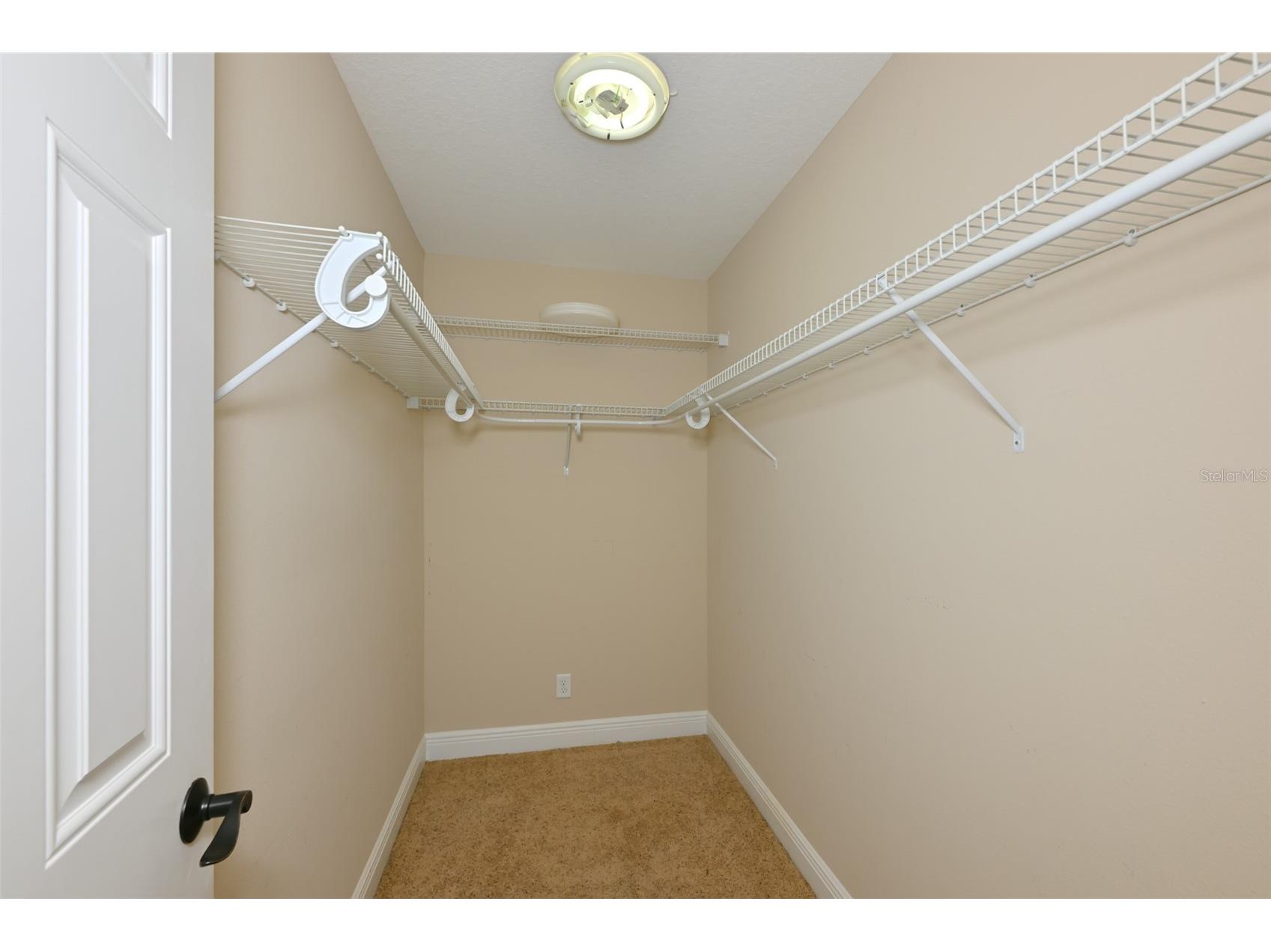 12206 Citrus Leaf Drive Gibsonton FL 33534 TB8500964 image37