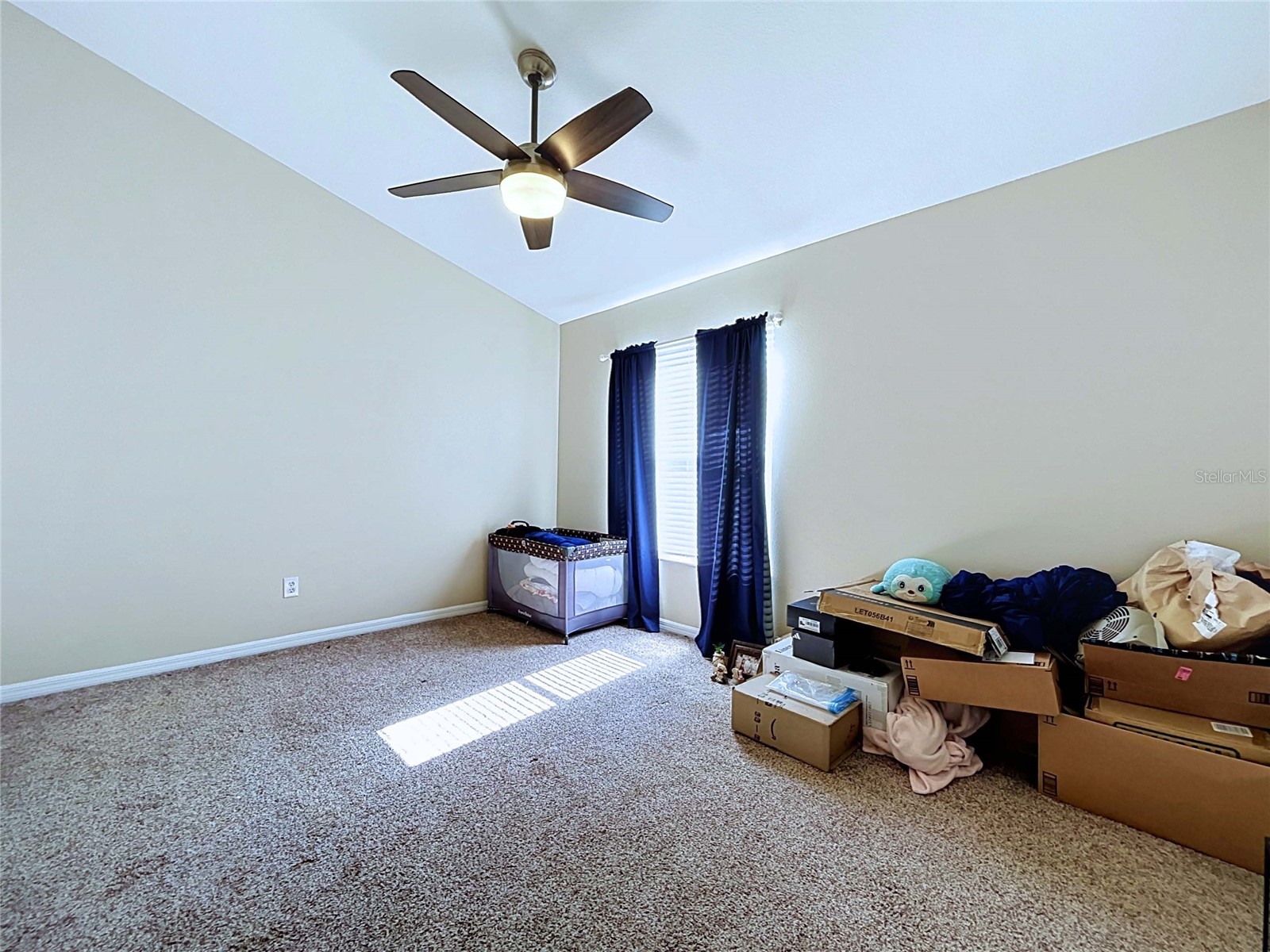 12207 Country White Circle Tampa FL 33635 TB8526744 image17