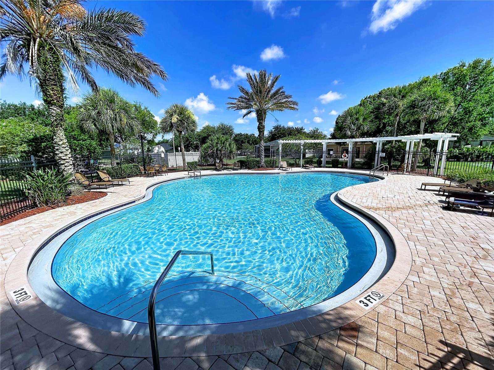 12207 Country White Circle Tampa FL 33635 TB8526744 image22