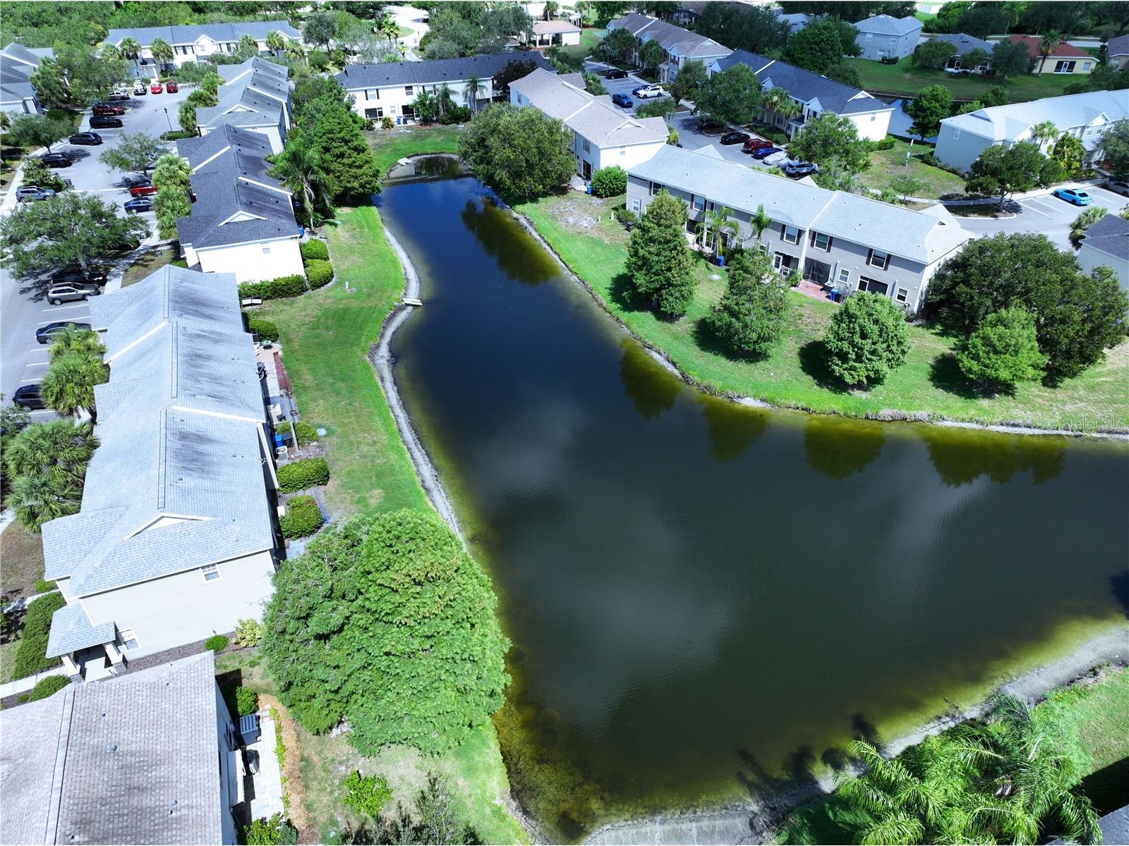 12207 Country White Circle Tampa FL 33635 TB8526744 image25