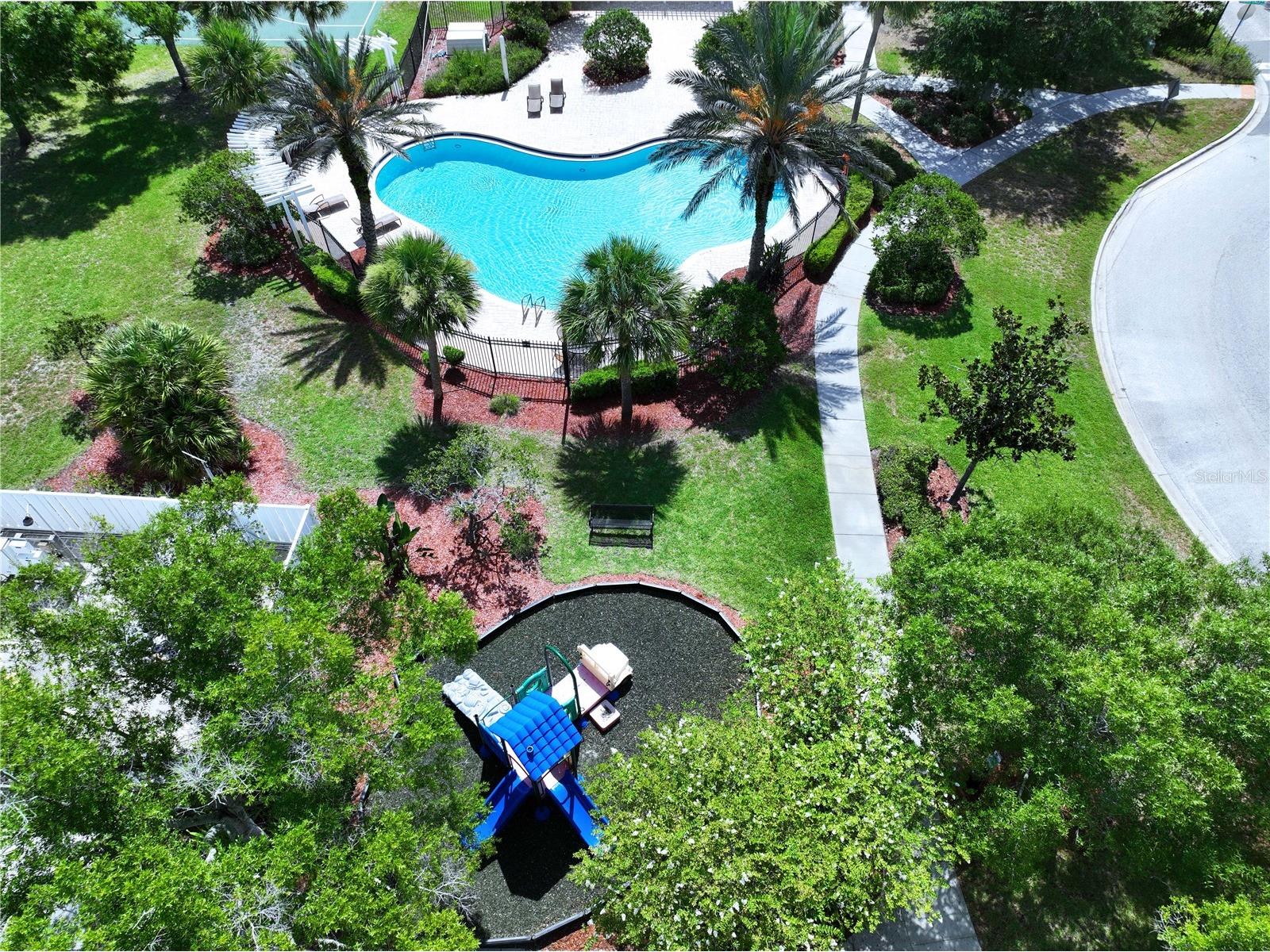 12207 Country White Circle Tampa FL 33635 TB8526744 image28