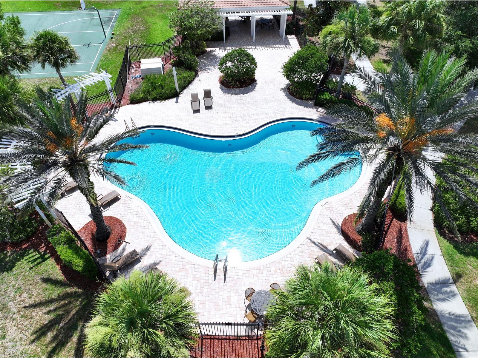 12207 Country White Circle Tampa FL 33635 TB8526744 image30