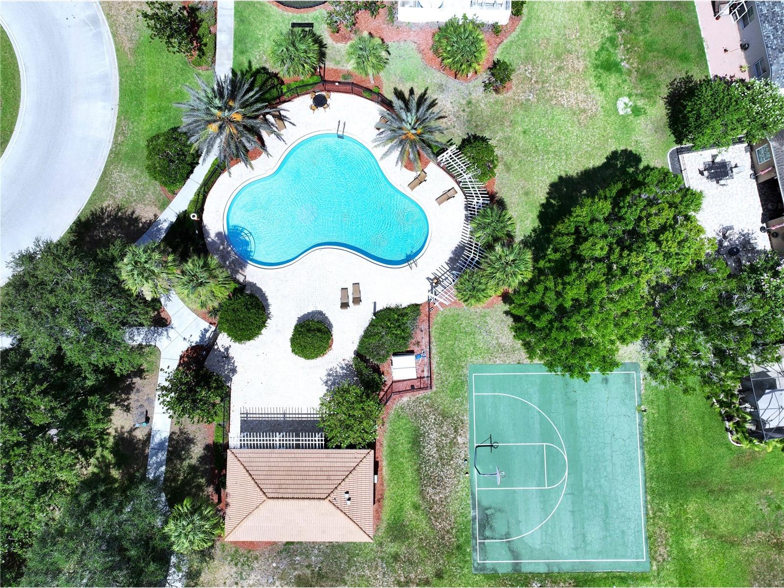 12207 Country White Circle Tampa FL 33635 TB8526744 image31