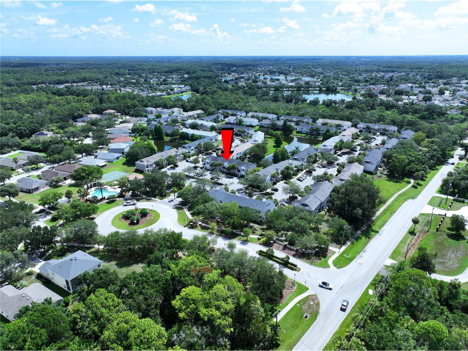 12207 Country White Circle Tampa FL 33635 TB8526744 image32